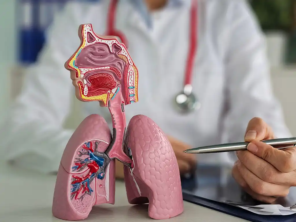 Adénocarcinome Pulmonaire : Symptômes, Traitements et Évolution