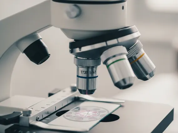 Vulvar Cancer Stages