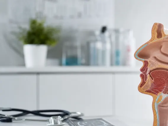 Stage Ii Lip And Oral Cavity Cancer