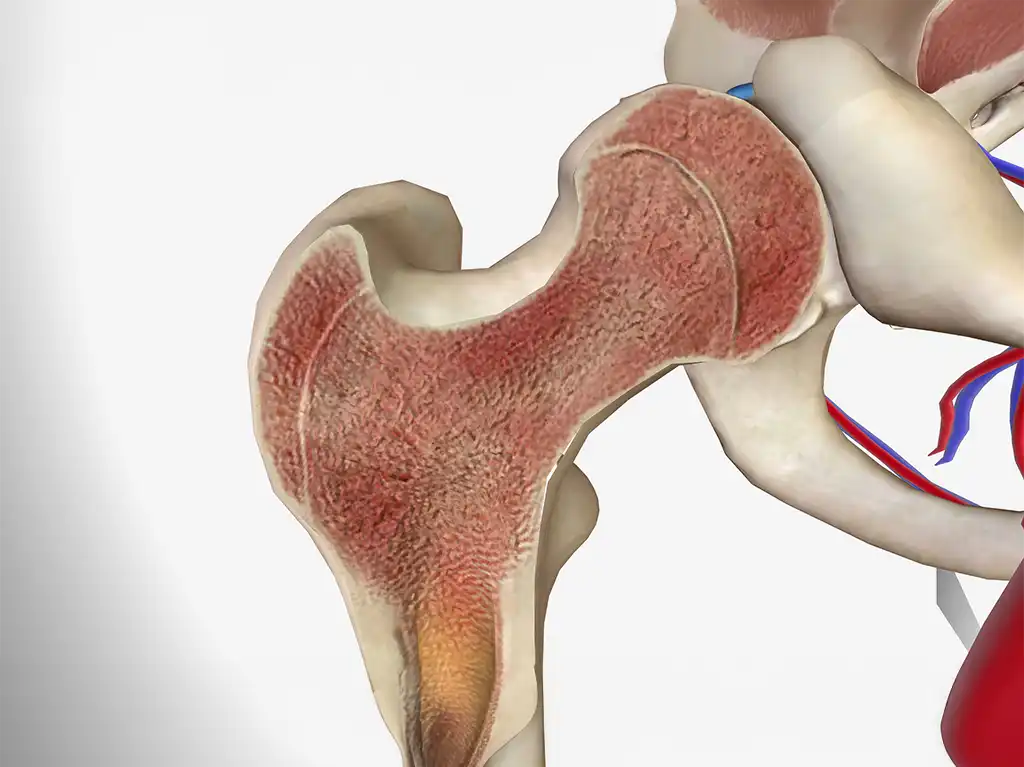 Bone Marrow Cancer Facts: What Every Patient Needs to Know First