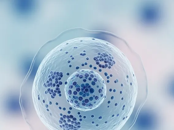 Merkel Cell Carcinoma Signs & Symptoms