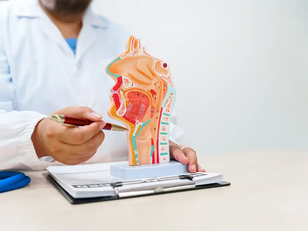 Câncer de Esôfago: Sintomas Que Você Não Pode Ignorar em 2025