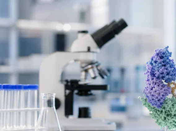 Stem Cell Factor Receptor