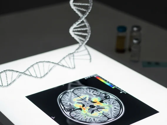 Latest Research and Clinical Trials on Primary CNS Lymphoma