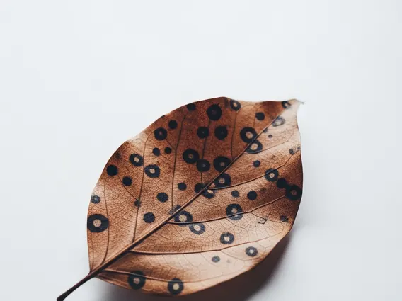 Hyperpigmentation
